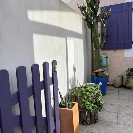 Pavillon 3 Avec Veranda Et Climatisation. Holiday home Sorede